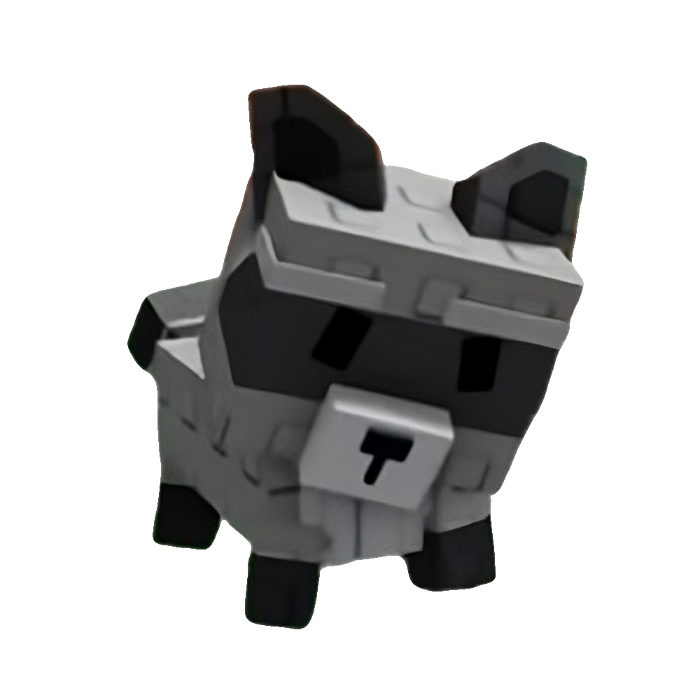 Raccoon