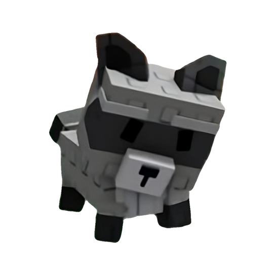 Raccoon